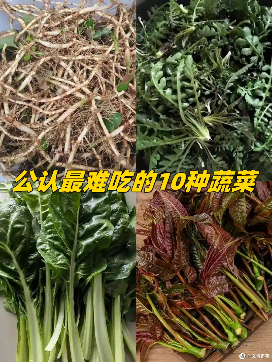公认最难吃的10种蔬菜,吃过5种算厉害,全吃过“敬你是条好汉”