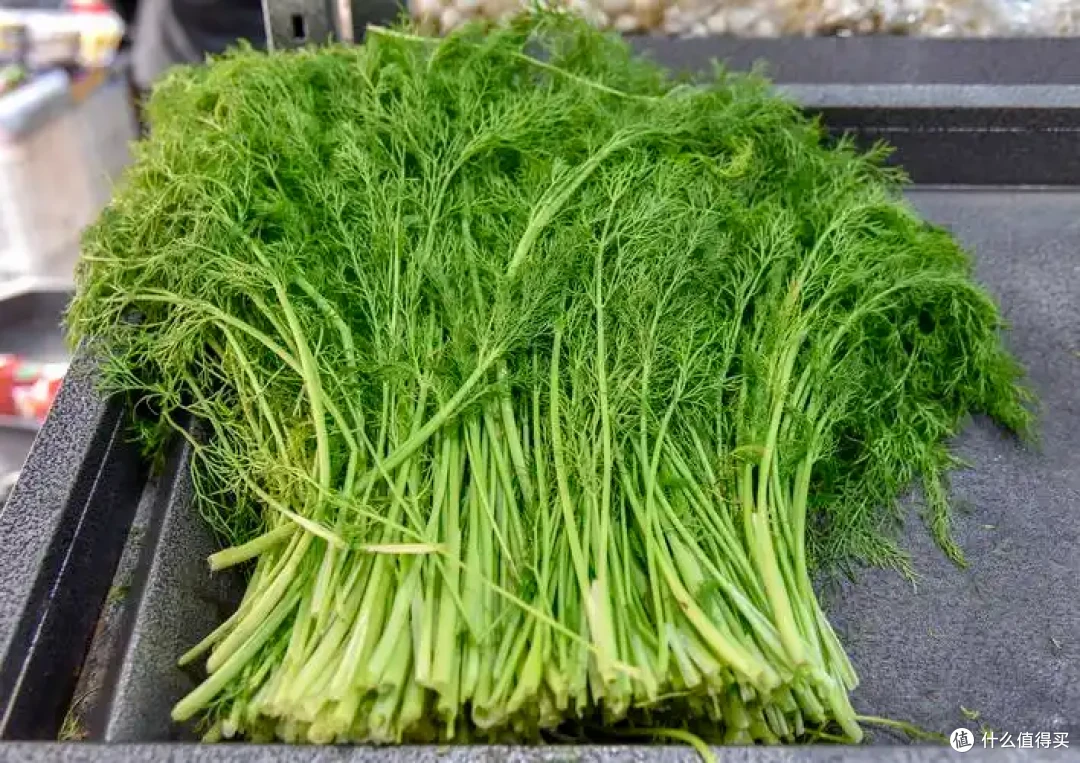 公认最难吃的10种蔬菜,吃过5种算厉害,全吃过“敬你是条好汉”