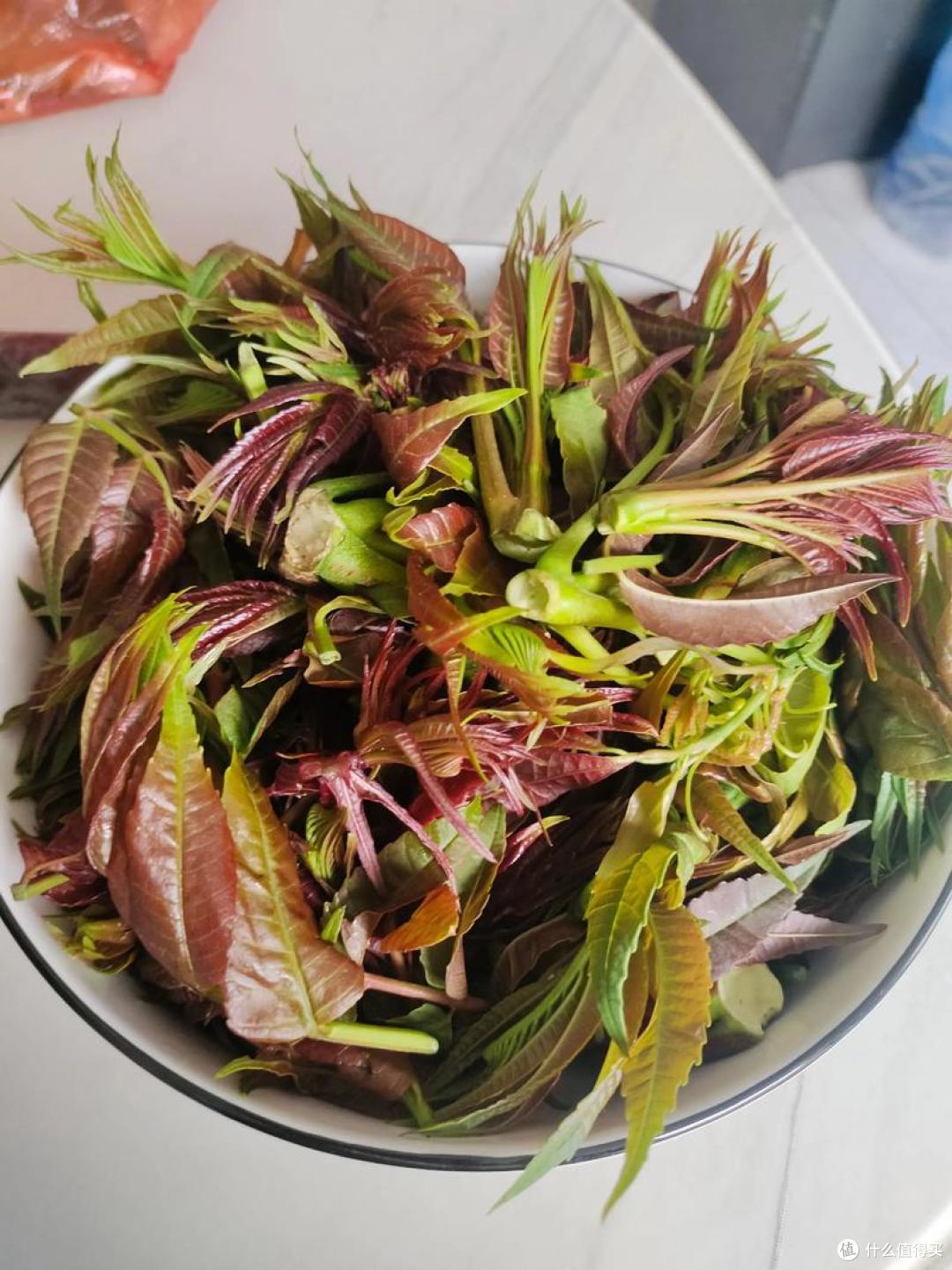 公认最难吃的10种蔬菜,吃过5种算厉害,全吃过“敬你是条好汉”