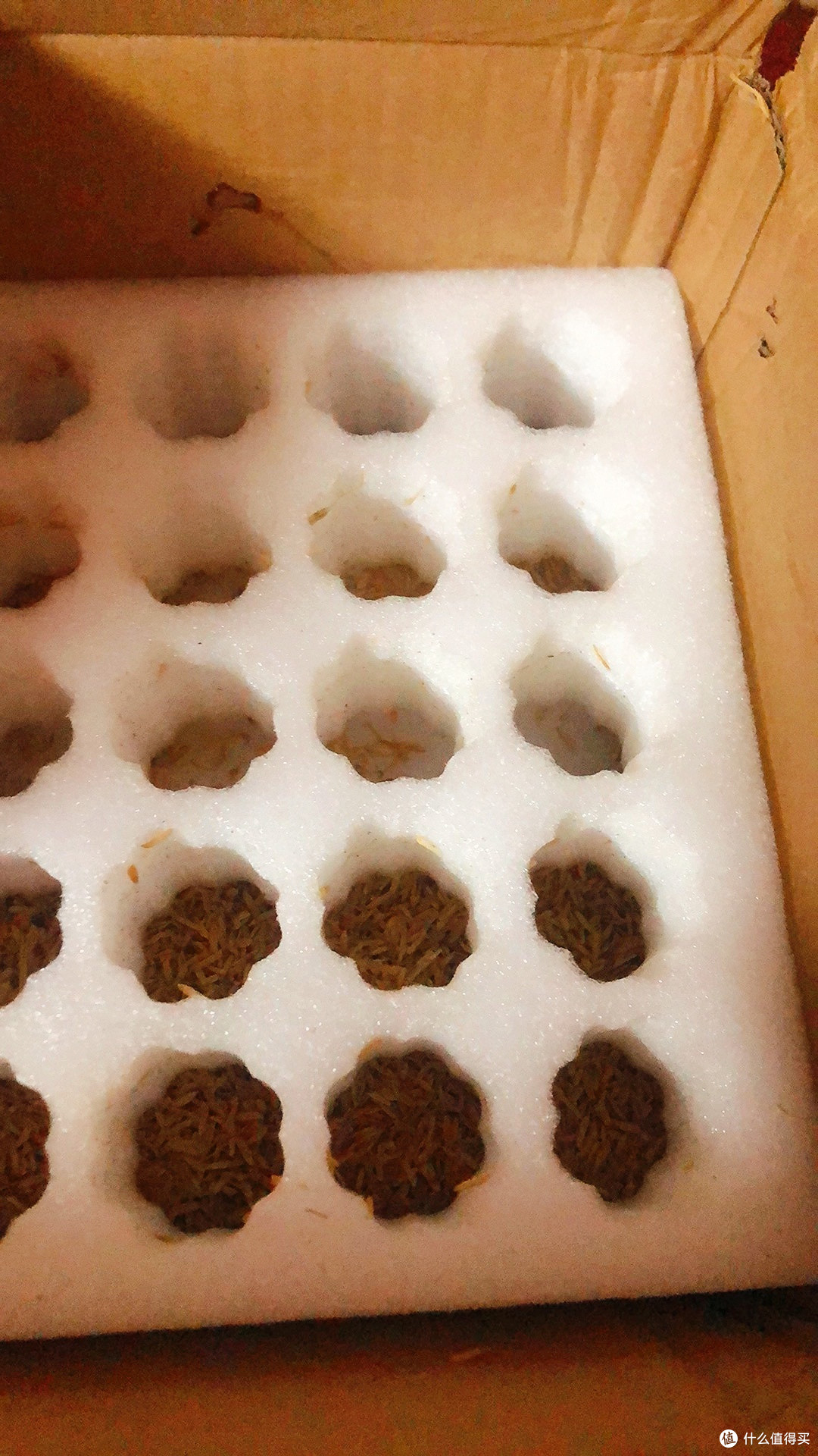 选购生鲜技巧:新鲜健康带回家