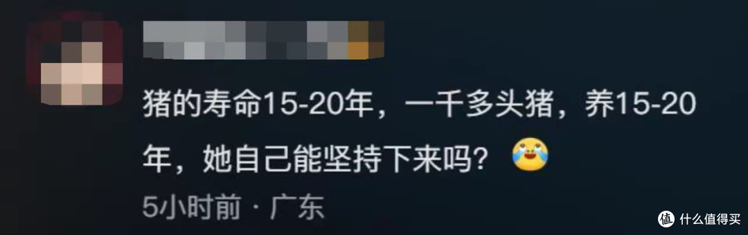 女子众筹58万救1950头祭祀乳猪！网友热议：有钱不帮人，专救猪？