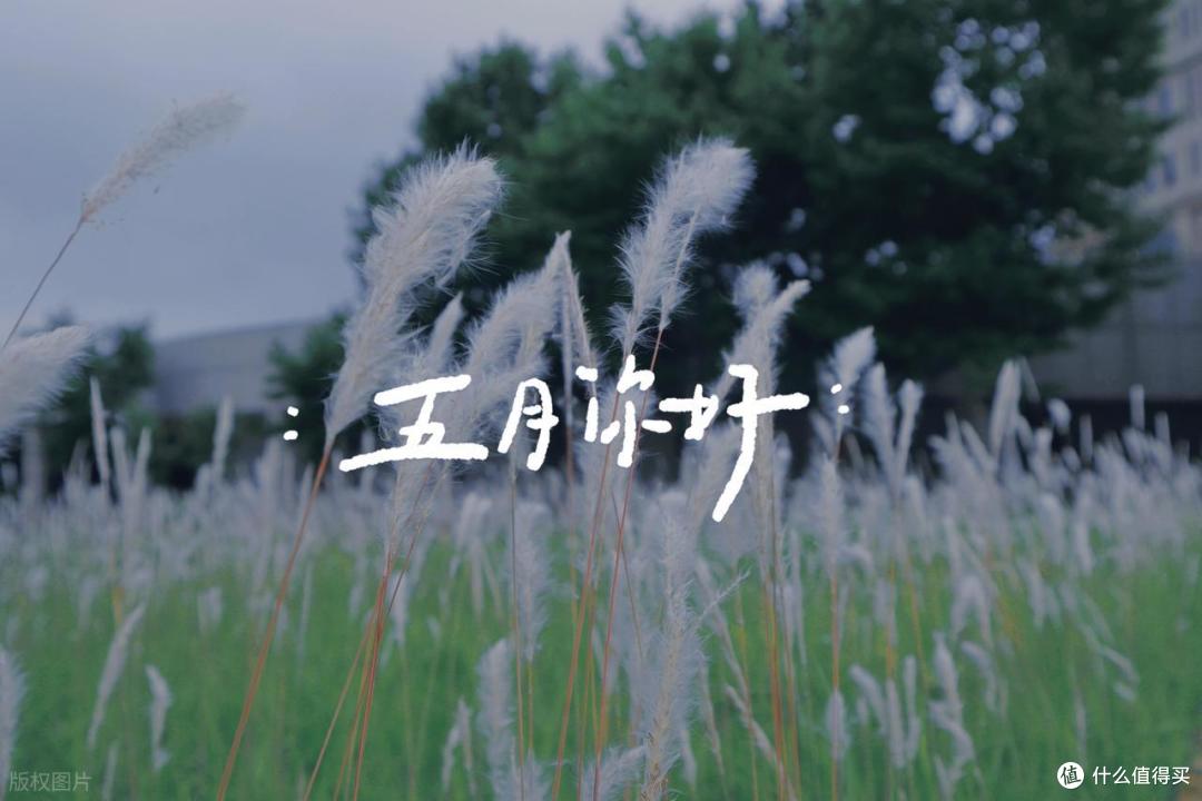高铁票在哪个平台买最合适?清明五一实测后我有了答案