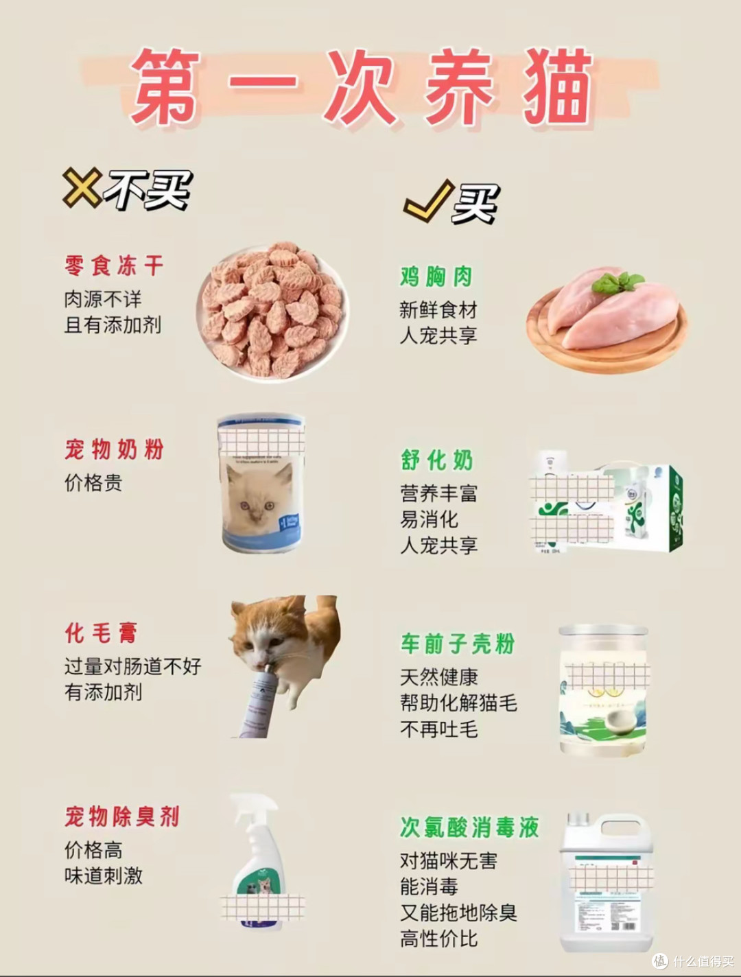 新手的第一只猫猫:从选猫到日常照料的实用攻略
