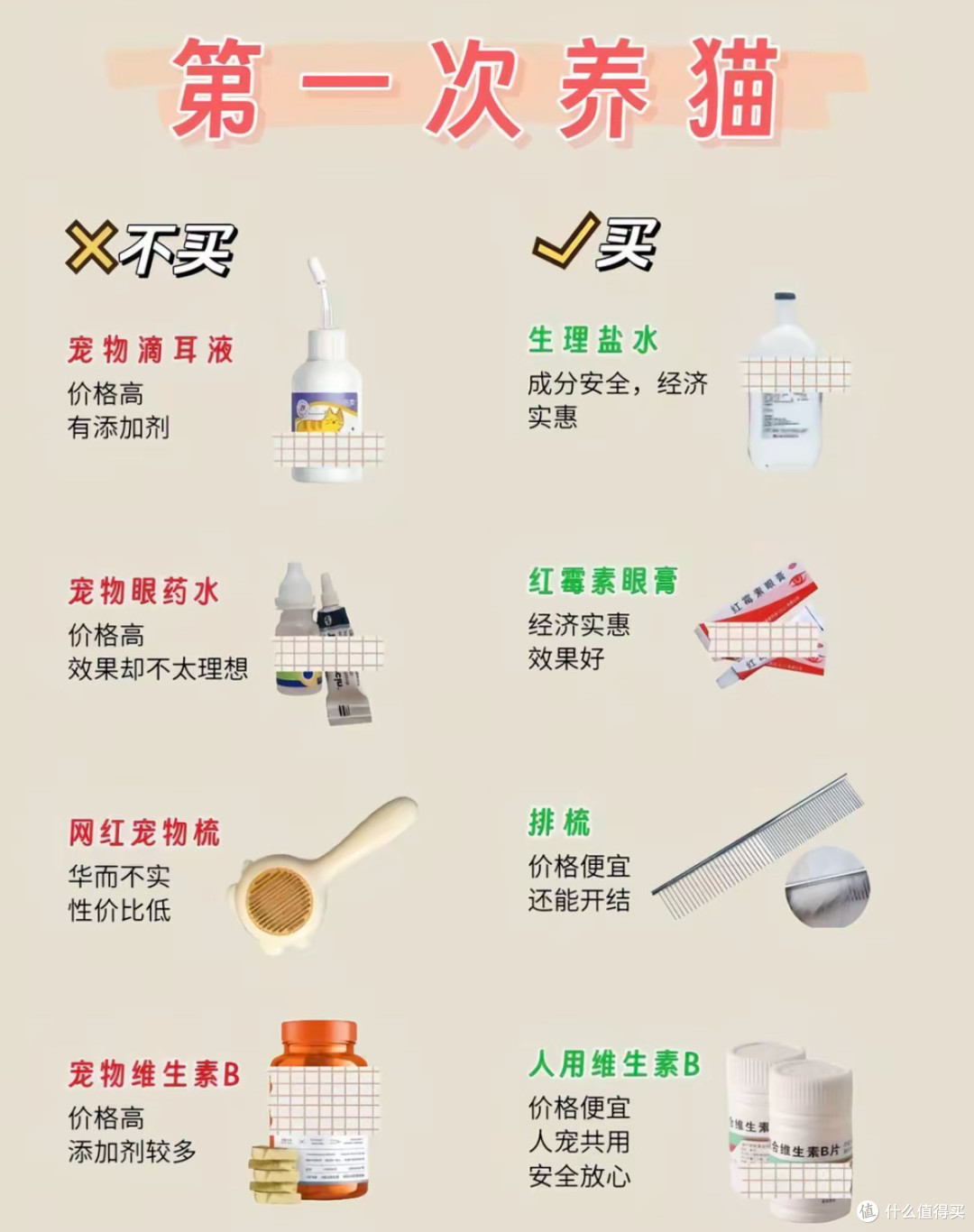 新手的第一只猫猫:从选猫到日常照料的实用攻略