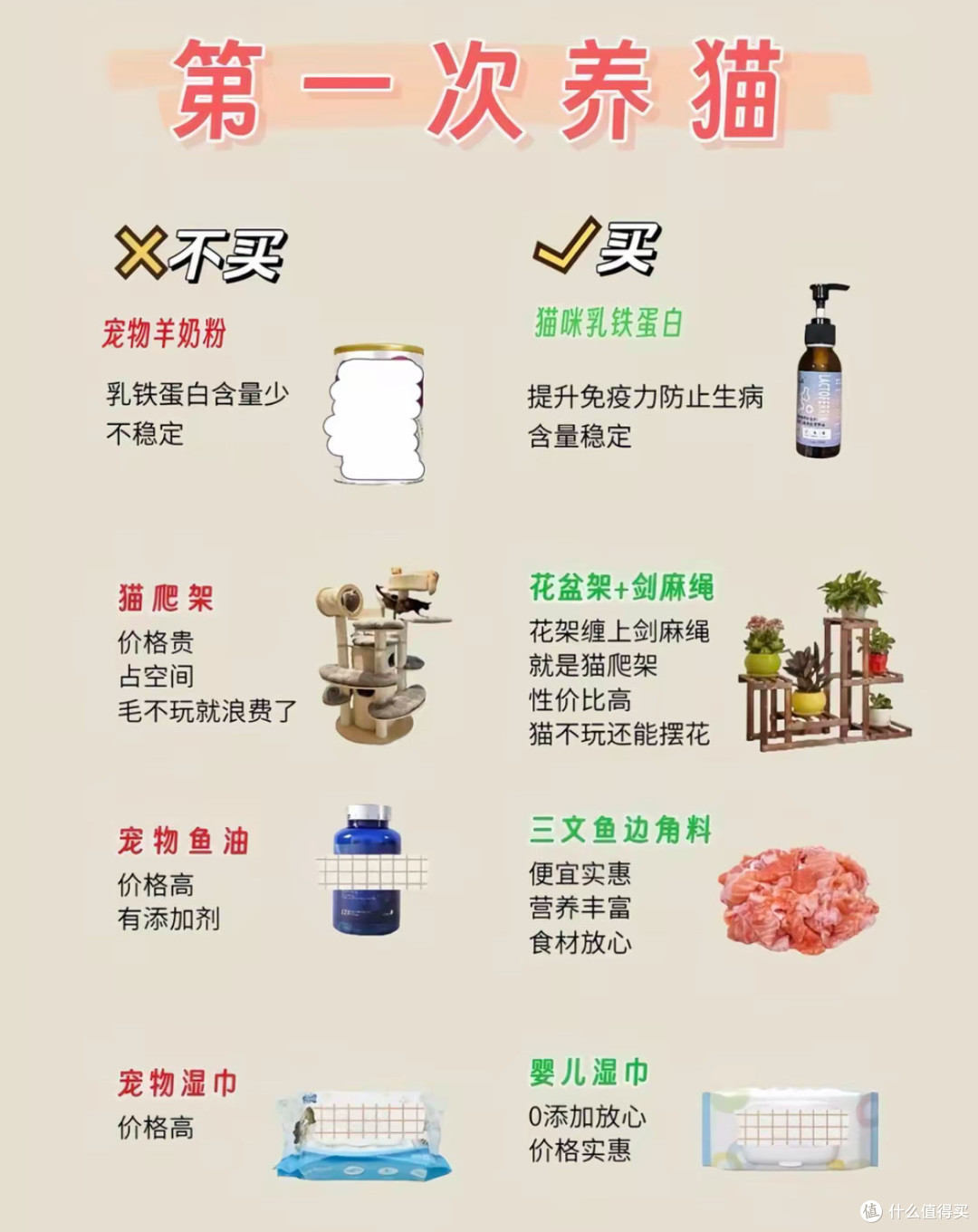 新手的第一只猫猫:从选猫到日常照料的实用攻略