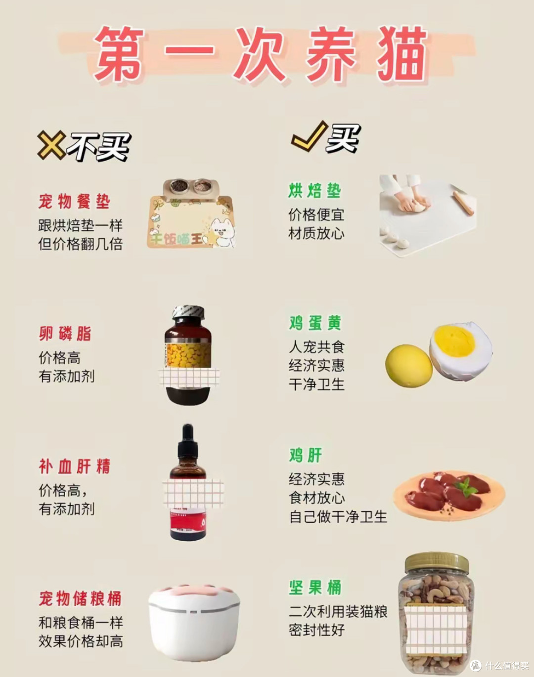 新手的第一只猫猫:从选猫到日常照料的实用攻略