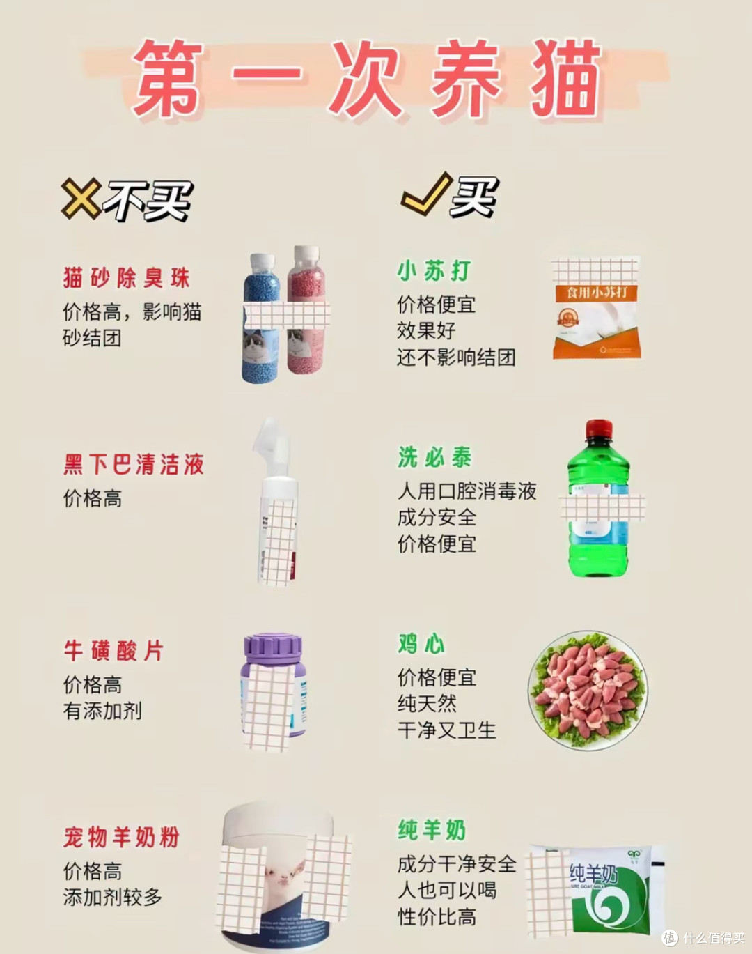 新手的第一只猫猫:从选猫到日常照料的实用攻略