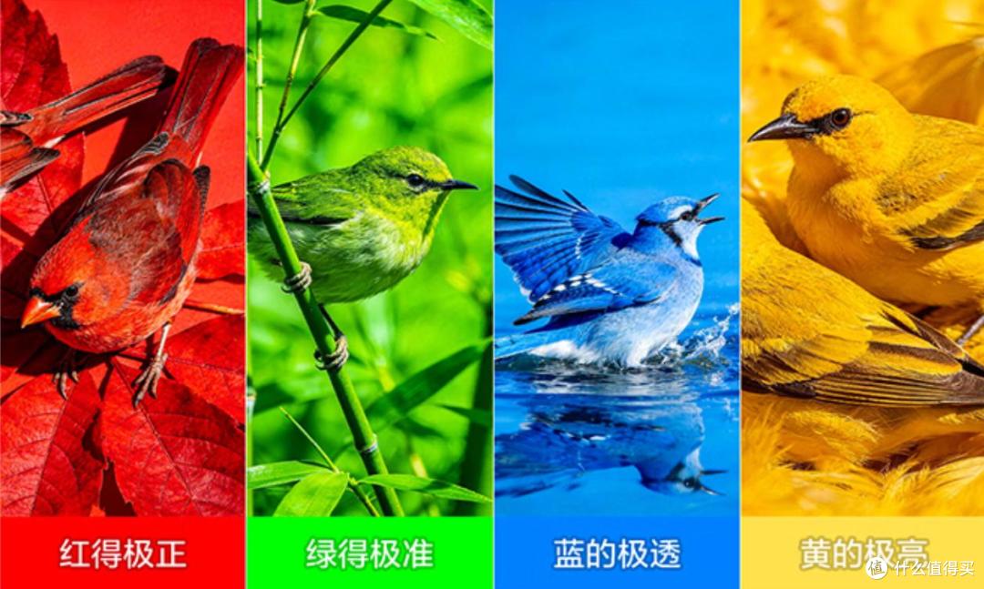 2026电视行业大洗牌!雷鸟鹤7 26款凭SQD-MiniLED领跑质价比赛道