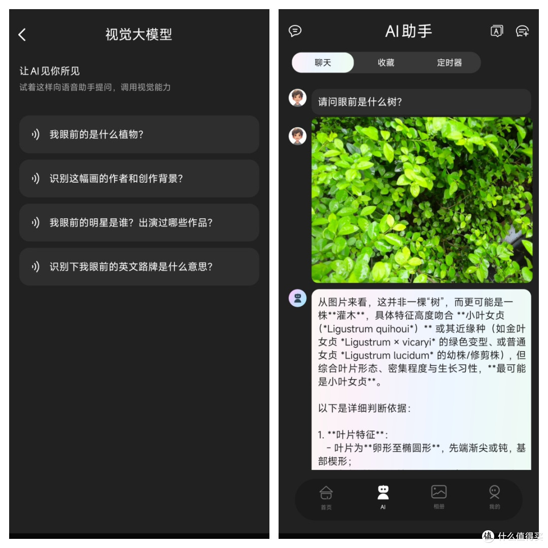 拍照、听歌、翻译、AI样样精通,千元WAGAWAGA AI眼镜初体验!