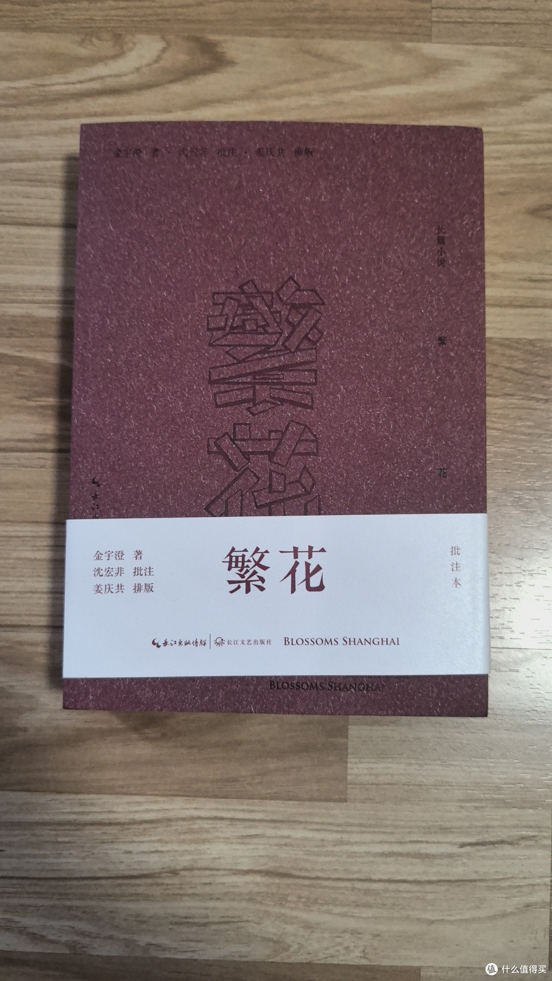 繁花剧版观后感:文字里的旧梦,镜头下的烟火。我挺讨厌王家卫。