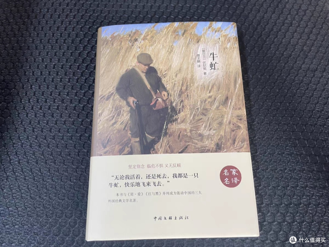 《牛虻》:成长与信仰的力量