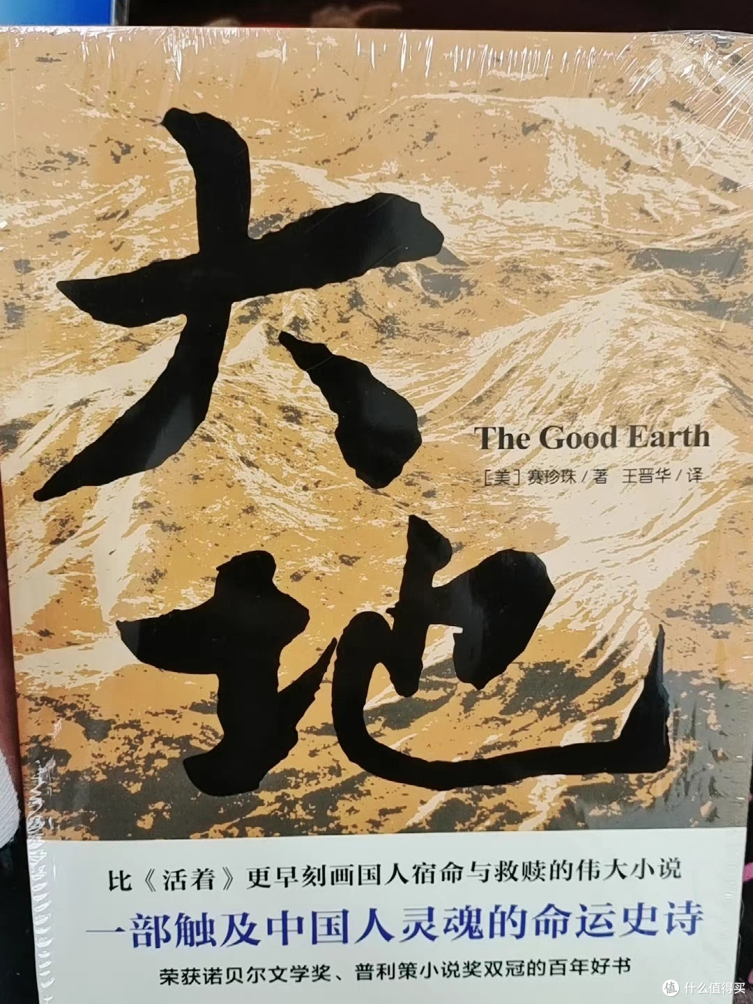 《大地》:描绘农民一生的经典
