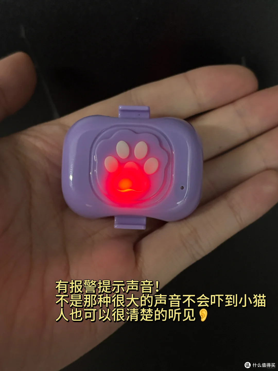 给收编的流浪猫戴了个68宠物定位器!超好用!!