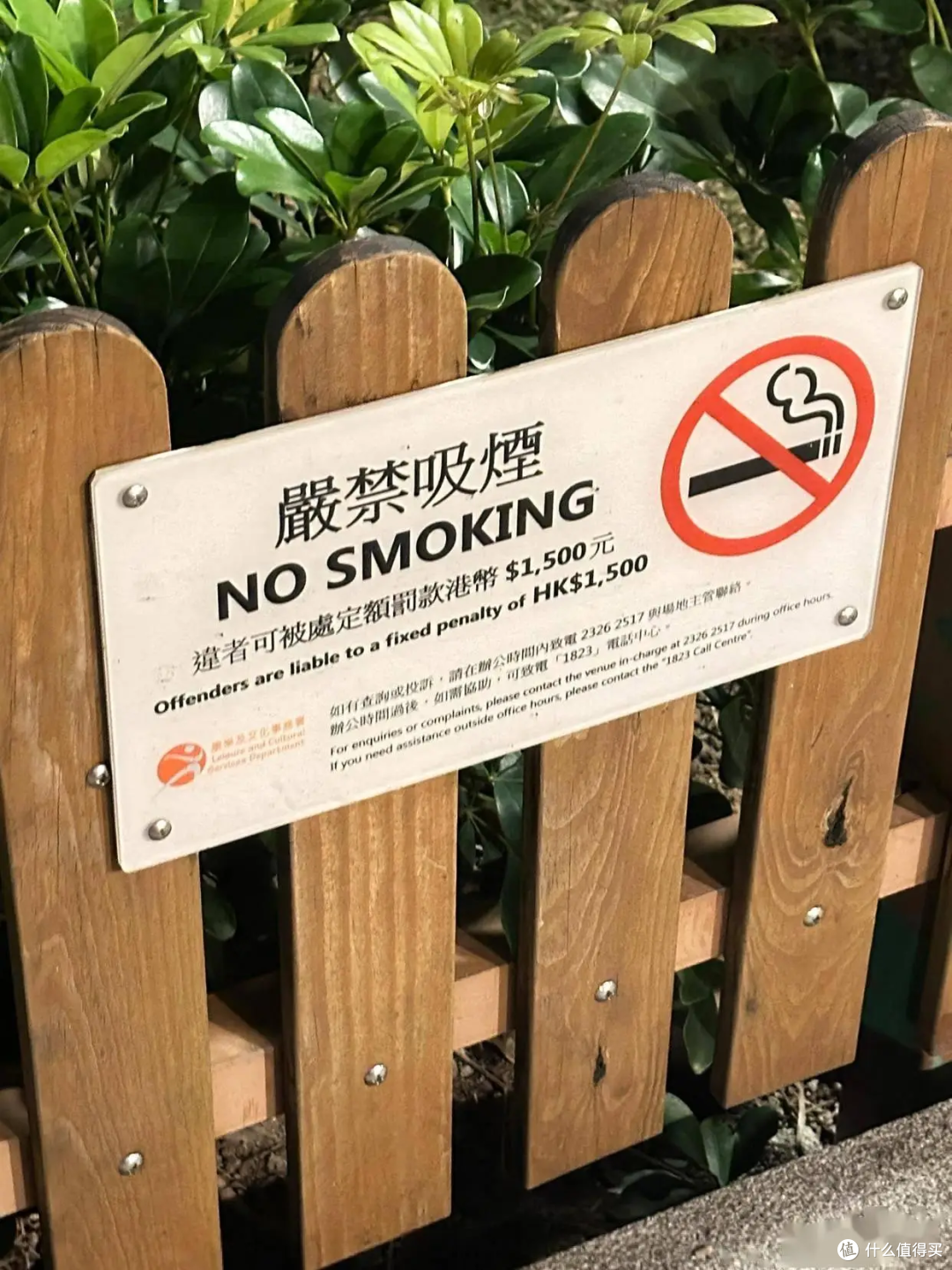 香港禁烟再升级！游客也不能带、公共场所只带不吸也违法重罚！
