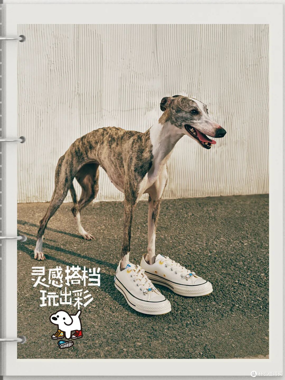 Converse x MATSUI联名！这波“萌宠”治愈系穿搭，谁穿谁可爱