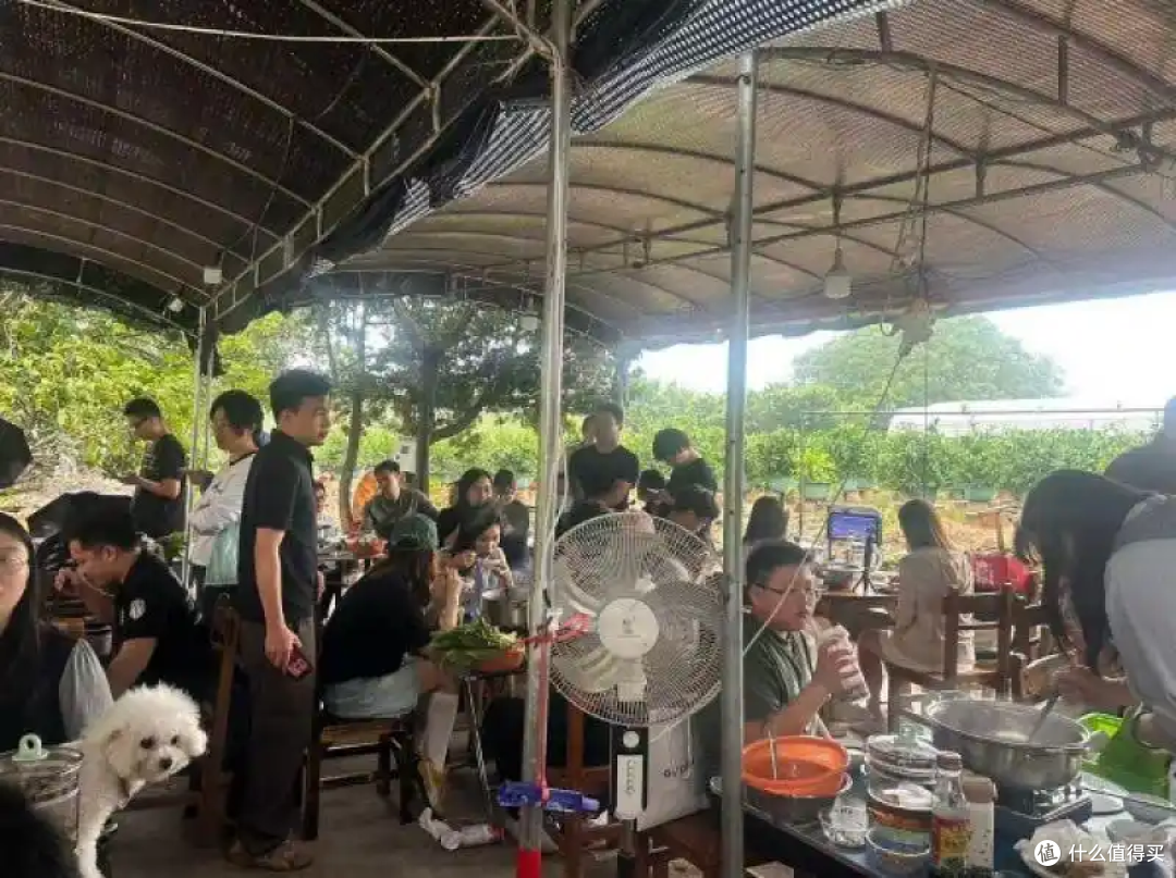 莫氏鸡煲老板发声：一天只睡3小时身体垮了，赚再多钱都是白搭 ！