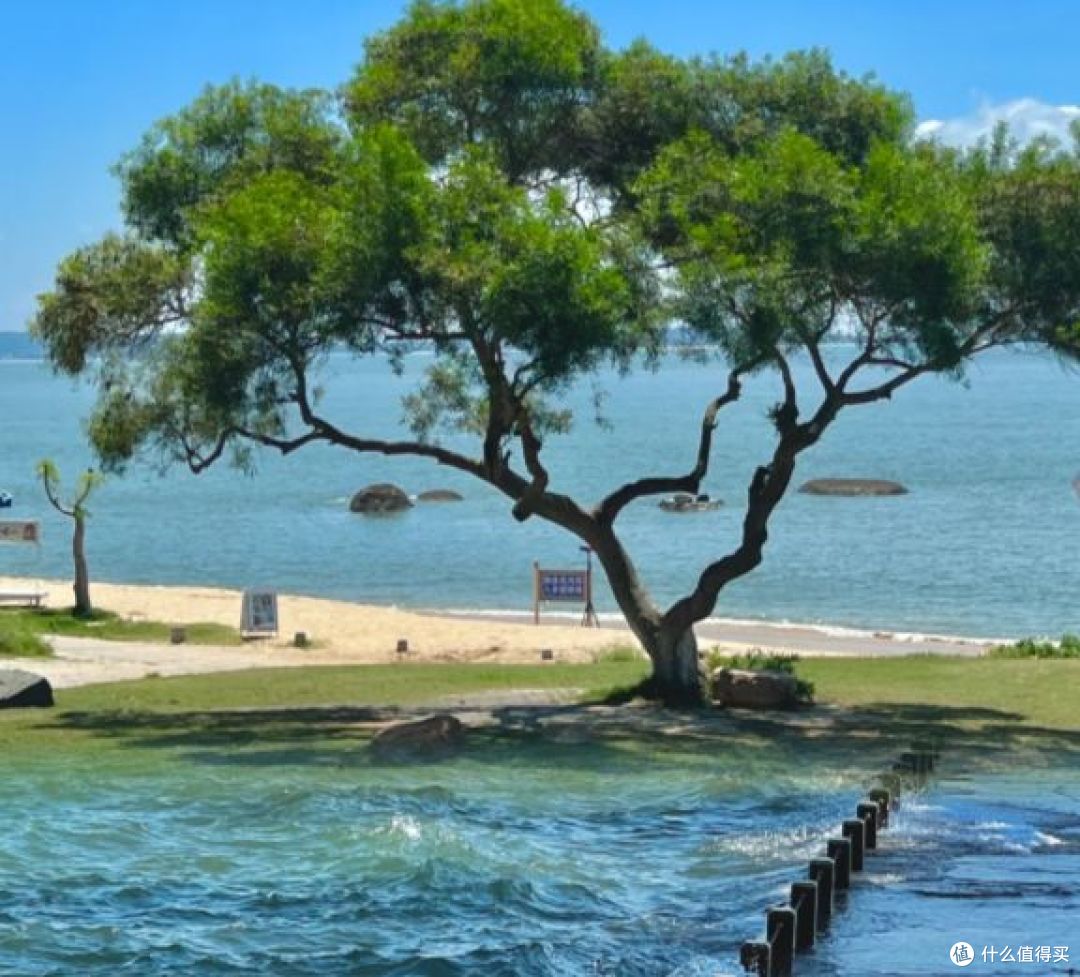以月为名,以潮为乐:玩月坡的原生海岸之美