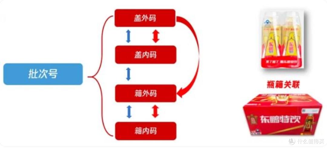 2025年营收破 200 亿,解码东鹏饮料韧性增长密码