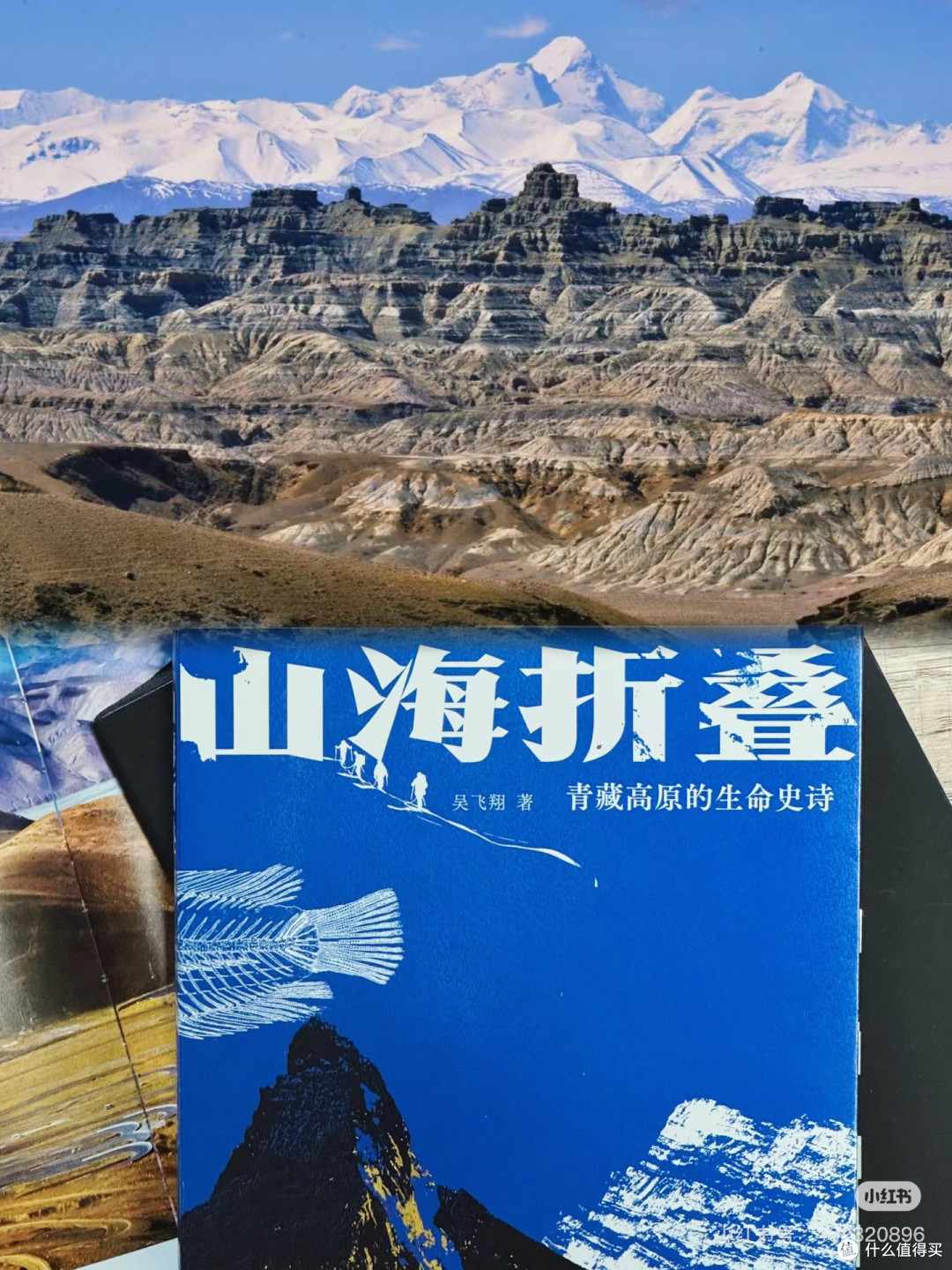 2025年度书籍推荐：从夯到拉