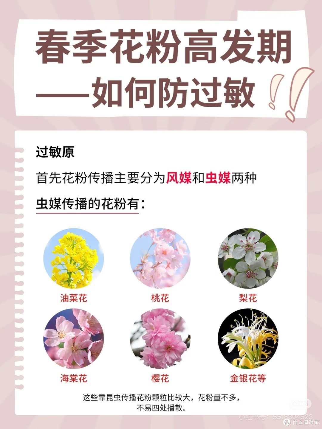 春季花粉过敏预防与应对指南