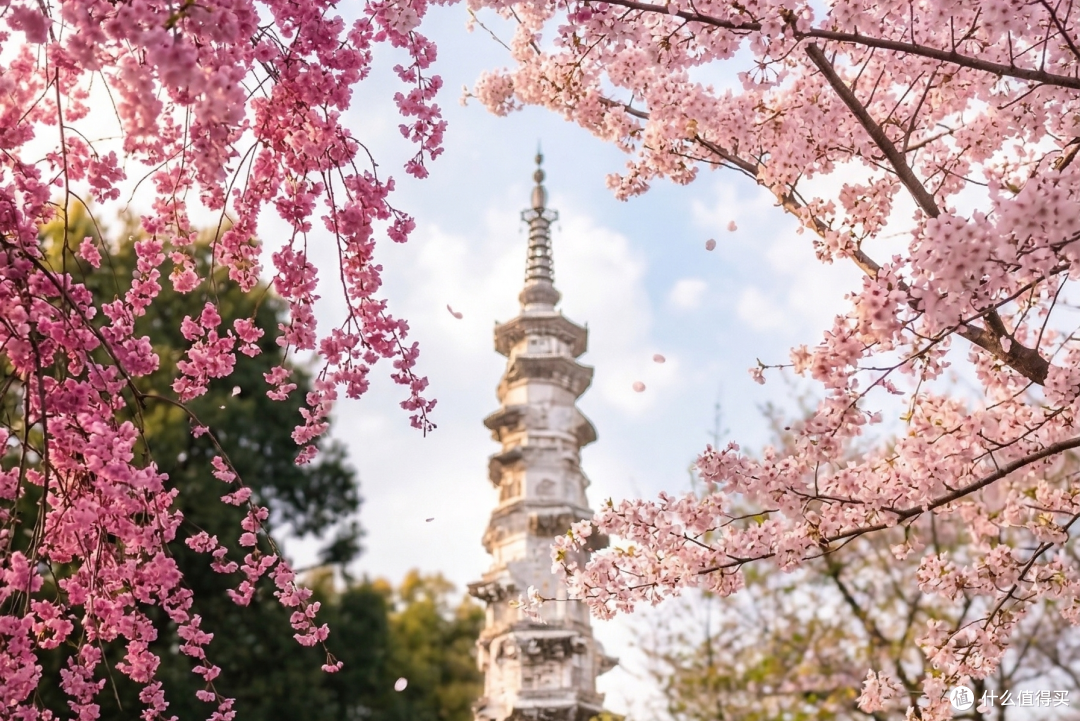 兰拓趣聊|兰拓城市摄影地图——赏花指南&器材推荐(华东篇)