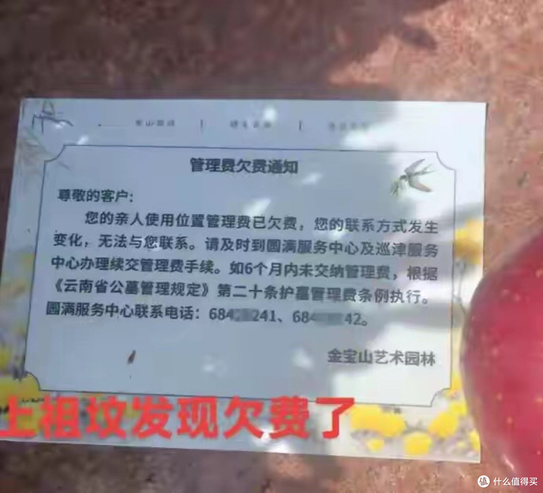上个祖坟发现“欠费”了!墓碑被贴催缴单,三代之后谁来续费?