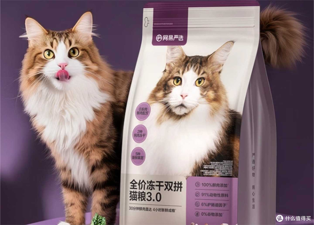 皇家猫粮怎么样?2026五款便宜又好的猫粮推荐