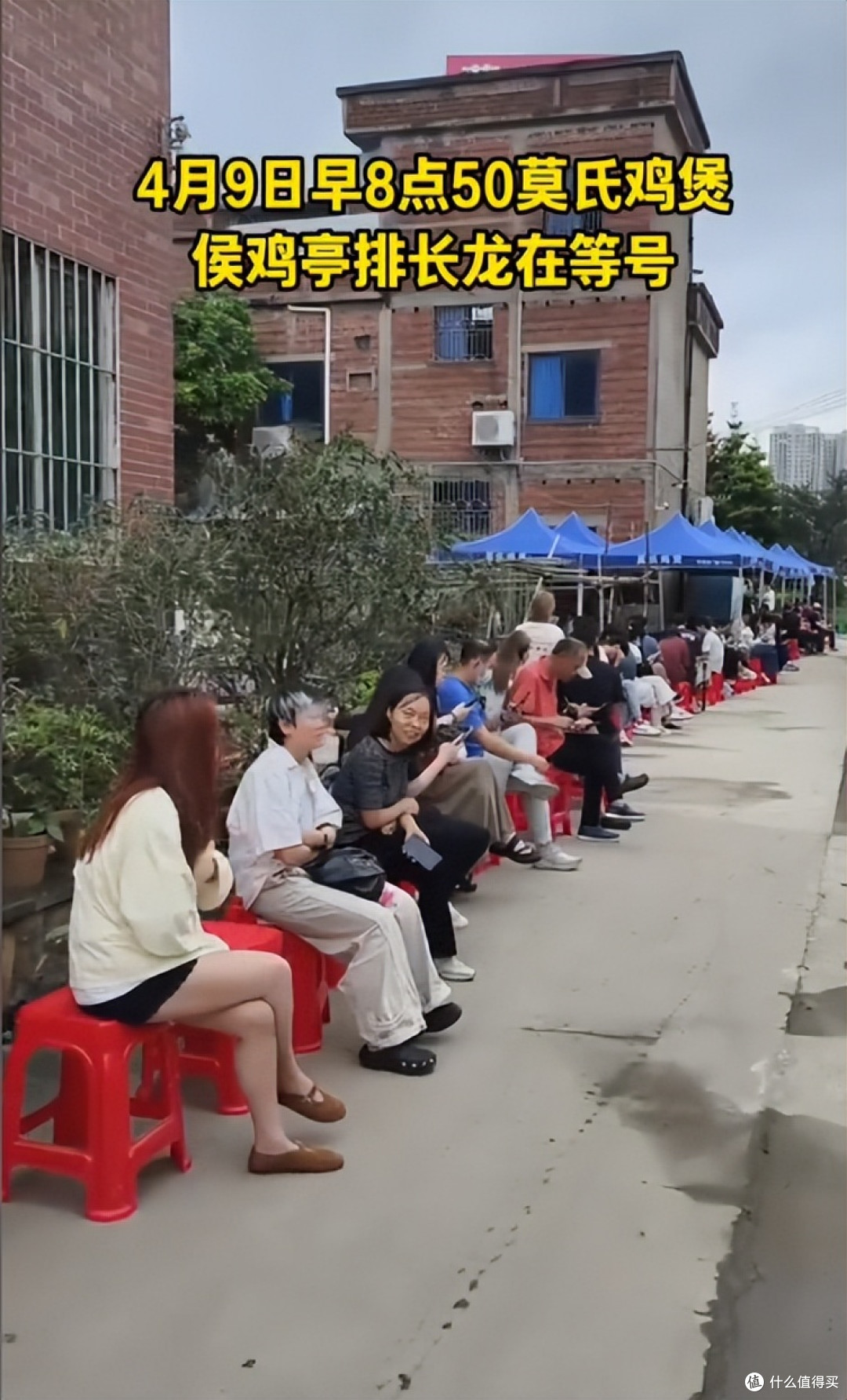 除了爆火的莫氏鸡煲,顺德还有6大名吃,世界美食之都名不虚传