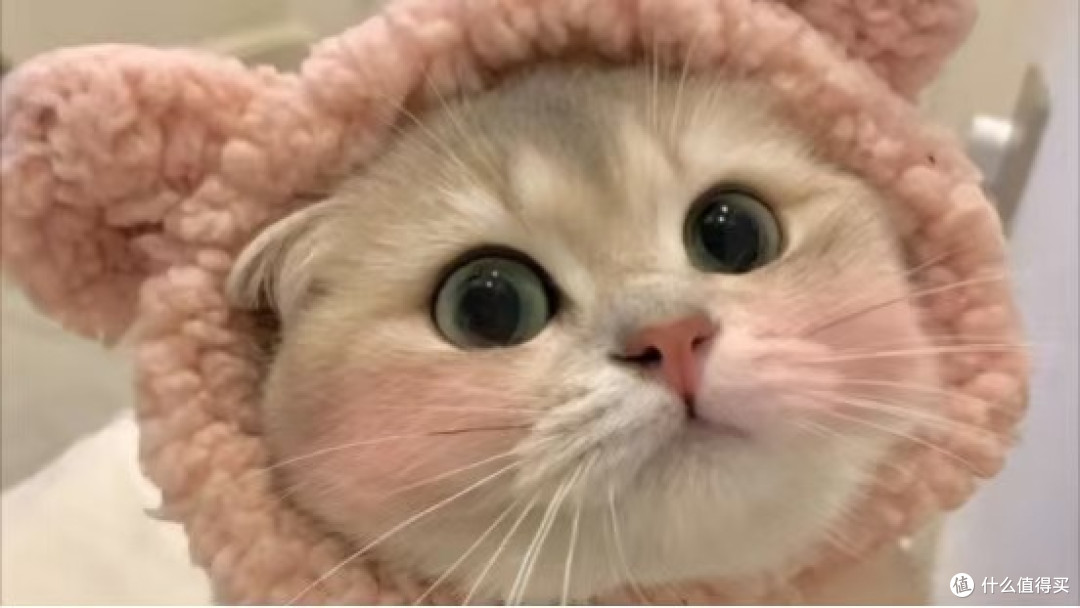希喂猫粮怎么样?2026最新天然猫粮排行榜新鲜出炉