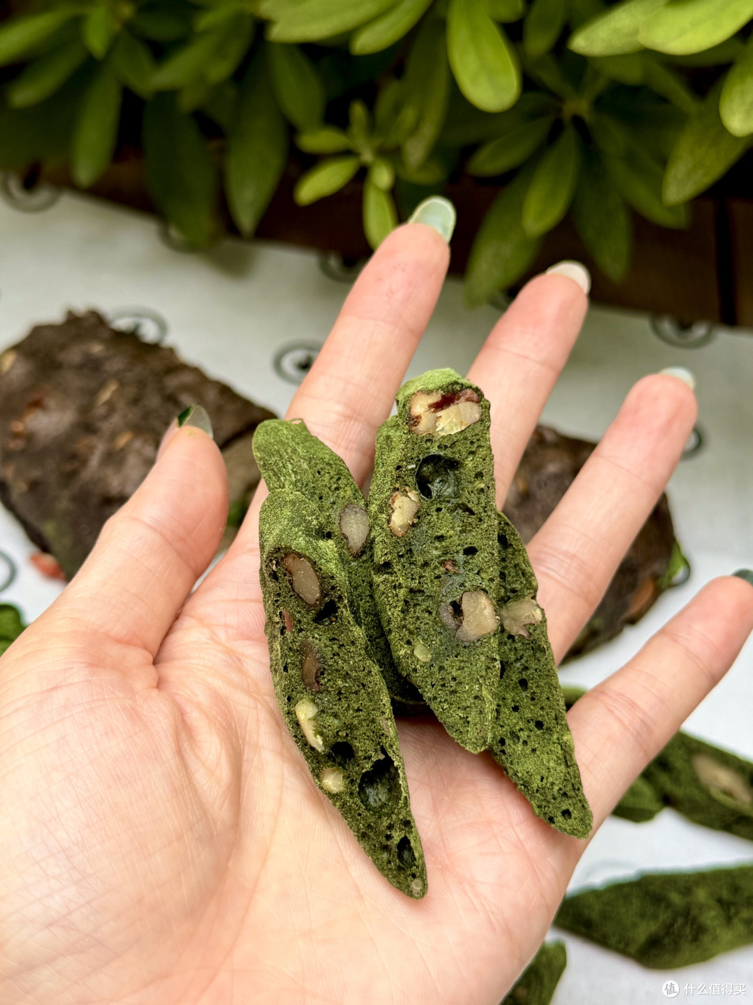 抹茶绿暴击！被一口春天哄好了～