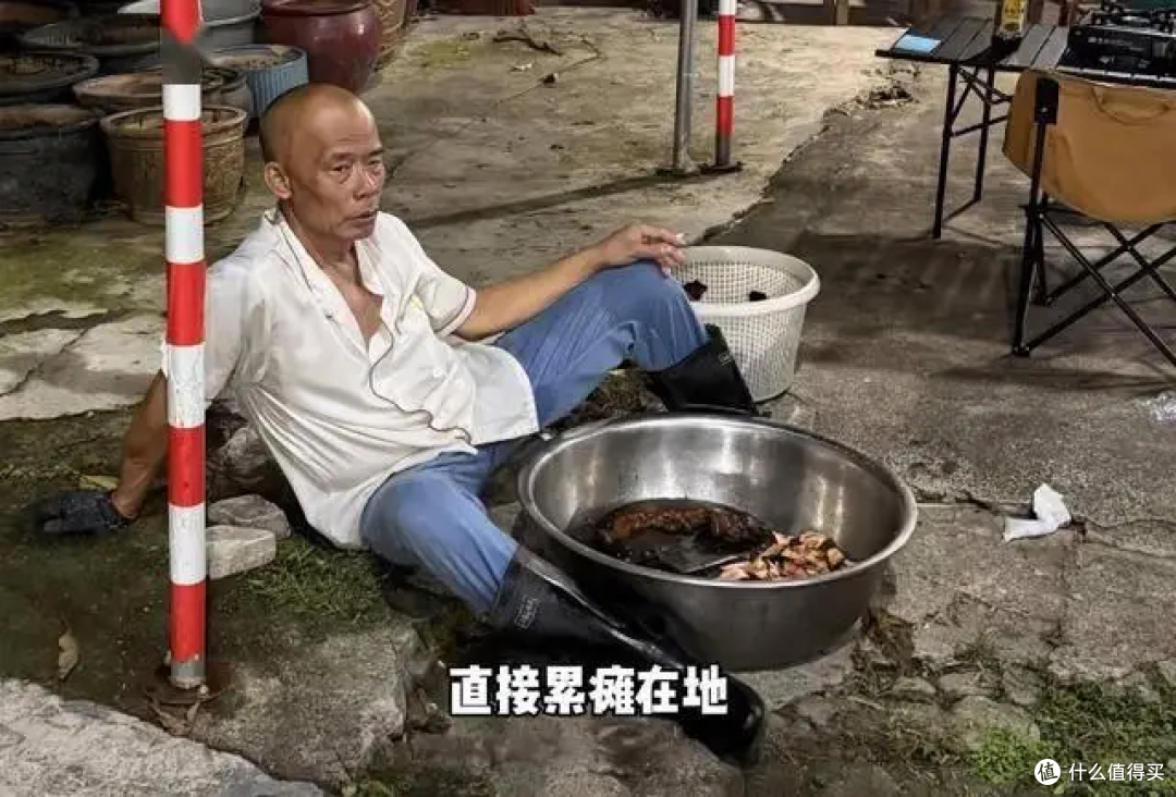 莫氏鸡煲爆火排队!老板哭求倒闭:全家累病倒,赚钱不够看病!