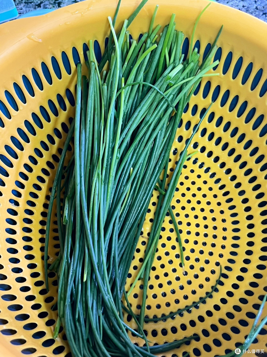 沙葱:西北时令野菜的多样美味