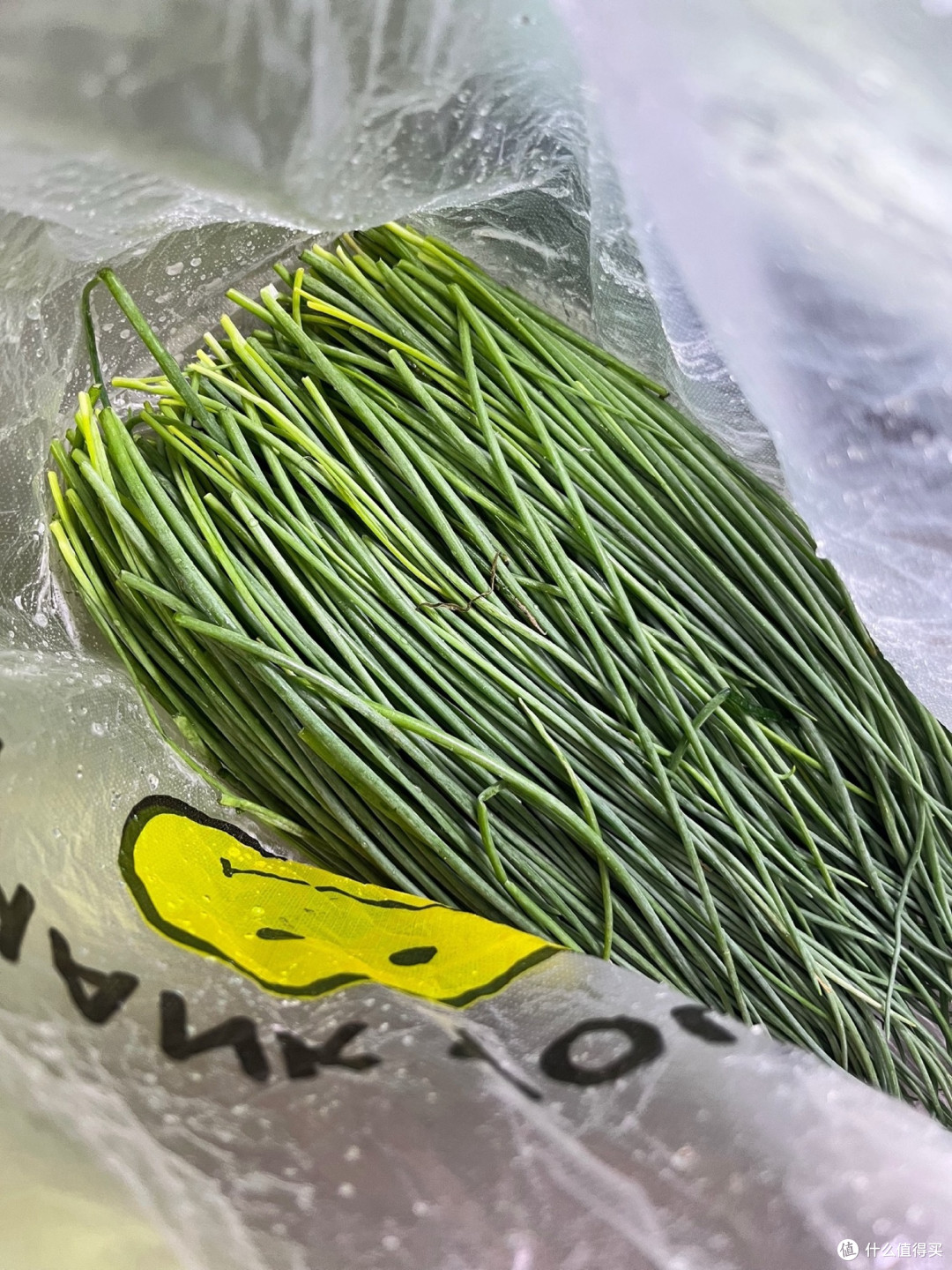沙葱:西北时令野菜的多样美味