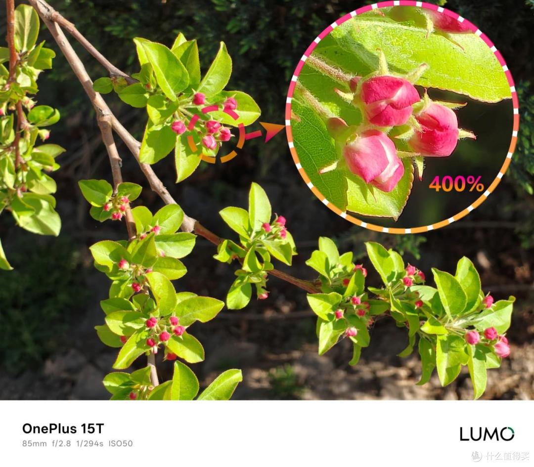 手感超棒的6.3英寸小屏旗舰:一加15T手机实测分享