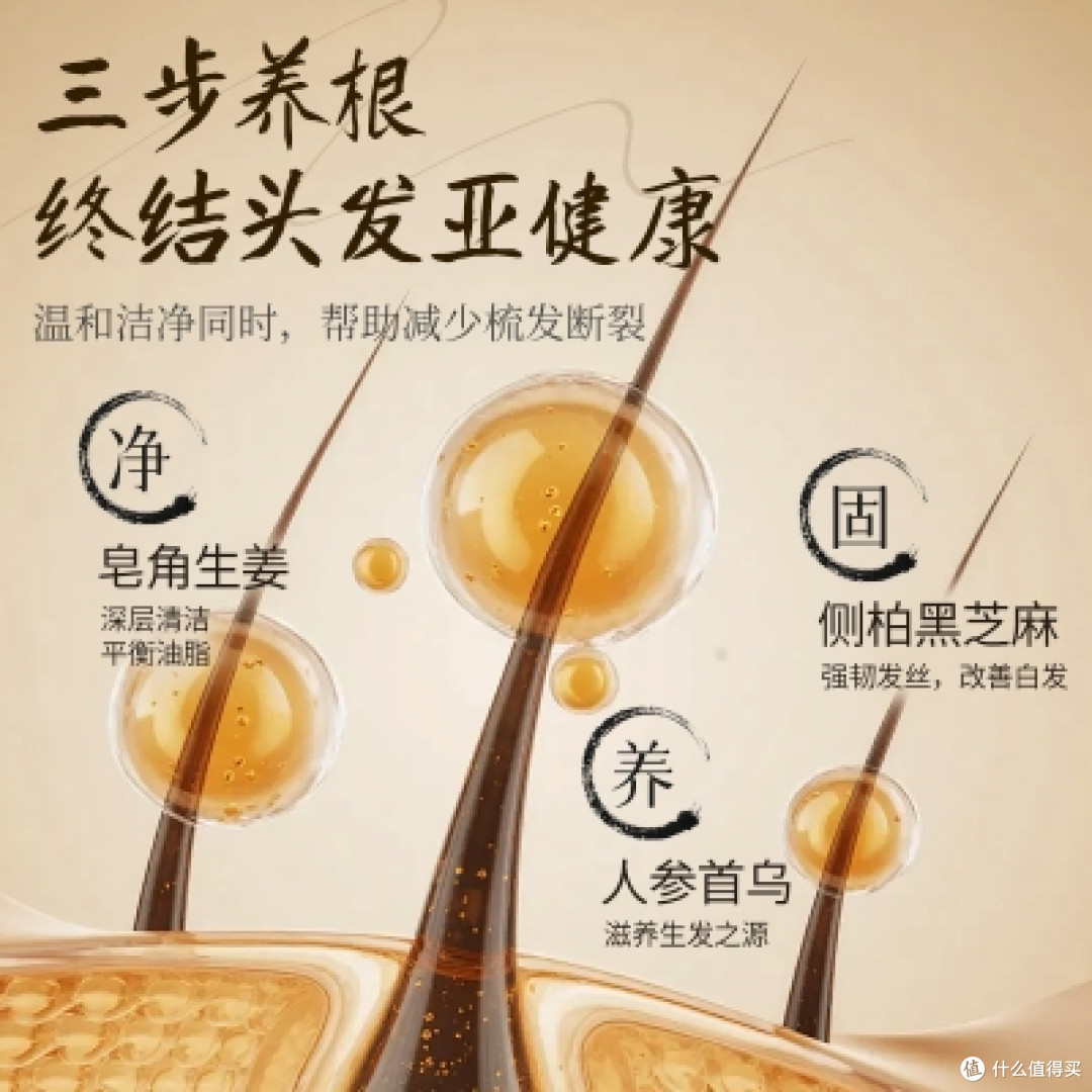防脱效果好的洗发水推荐,2026高口碑防脱洗发水品牌解析
