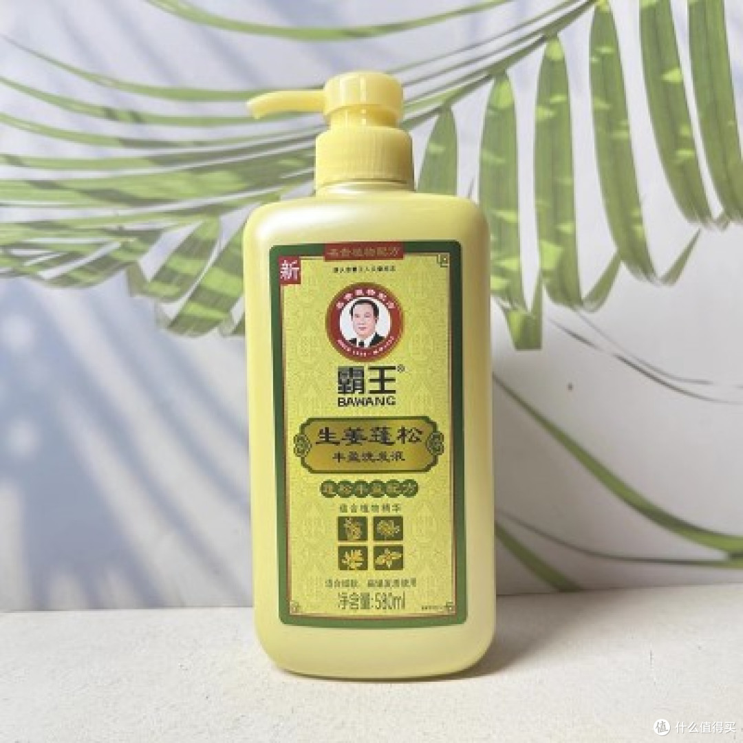 防脱效果好的洗发水推荐,2026高口碑防脱洗发水品牌解析