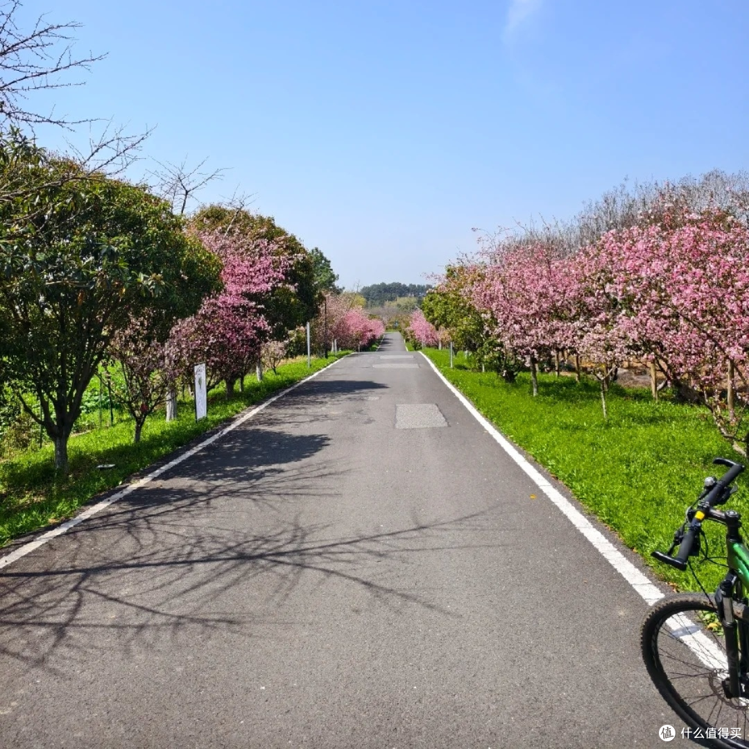 溧阳1号公路骑行,新手也能轻松冲