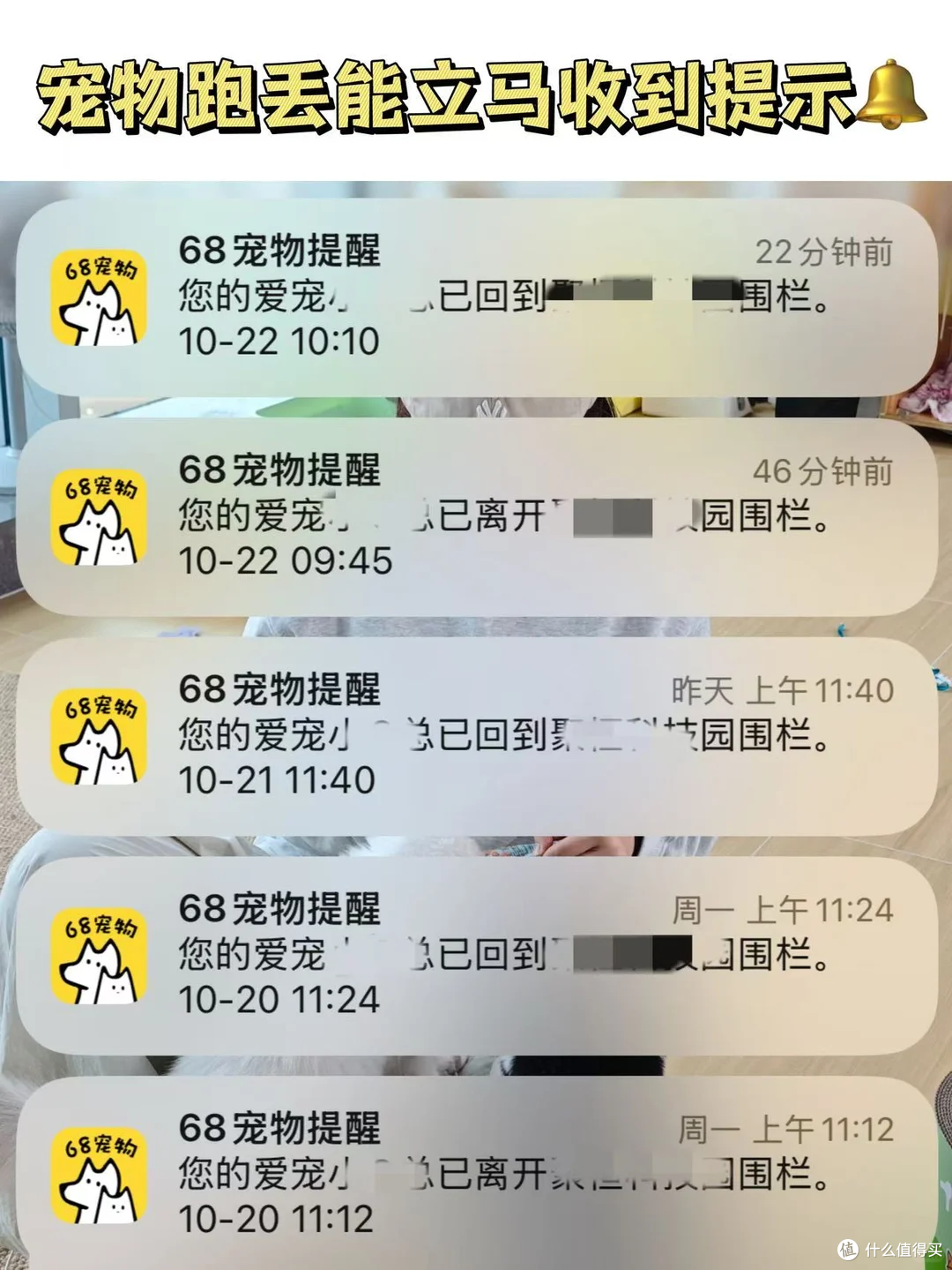多亏了这个它!养了8年的狗差点丢了