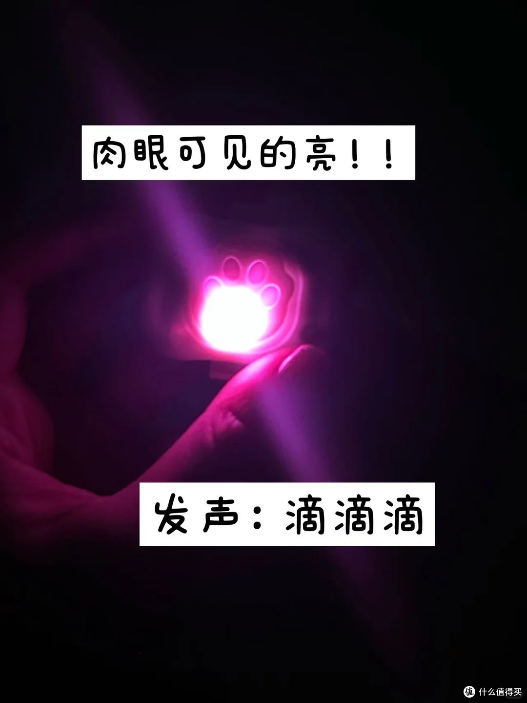 多亏了这个它!养了8年的狗差点丢了