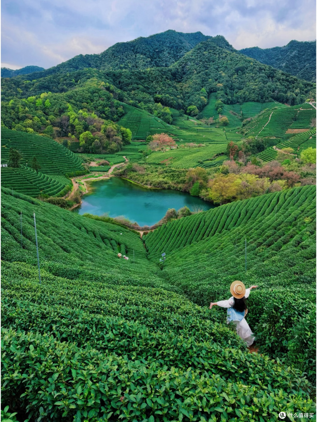 春季出游|龙坞茶镇轻徒步,把春天揉进万亩茶山里