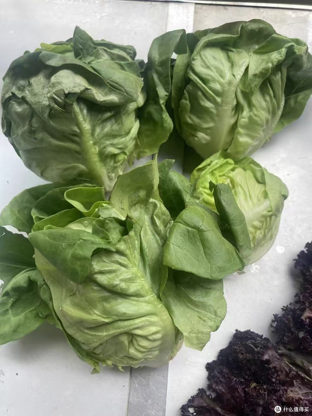 千牛优福球生菜！汉堡沙拉脆到心坎✨