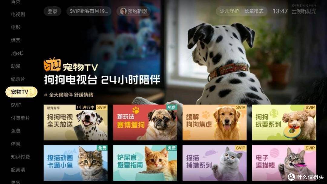 从《疯狂动物城2》预约爆火,看虹领金如何接住优质内容的加速度