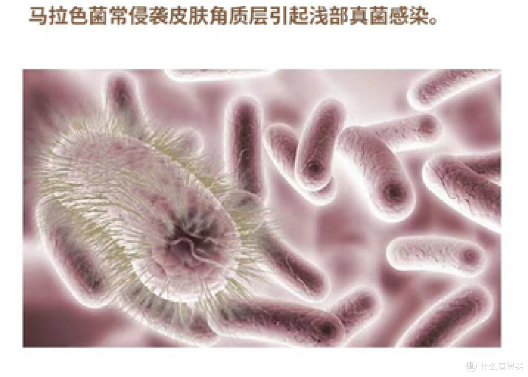 头发一天就油？你可能一直在做错这件事！
