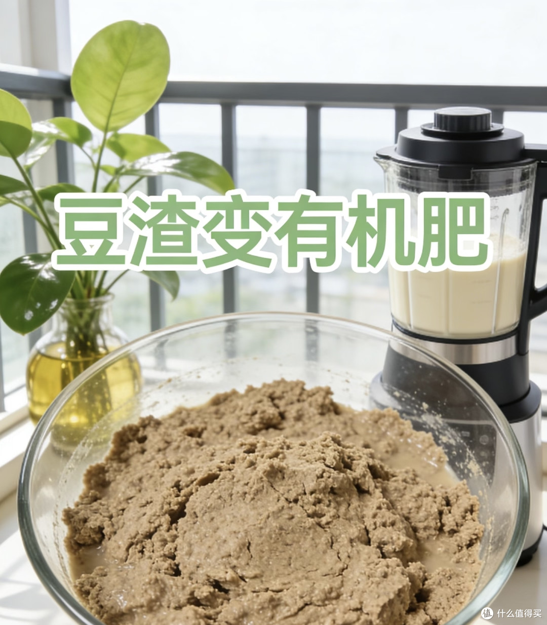 辽宁一大爷,养文竹喂“3种废渣”,嗖嗖长,枝繁叶茂“成精了”