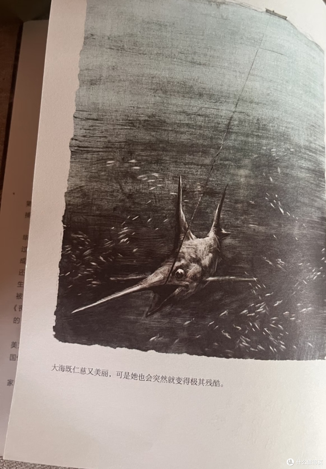 生命的坚韧与尊严