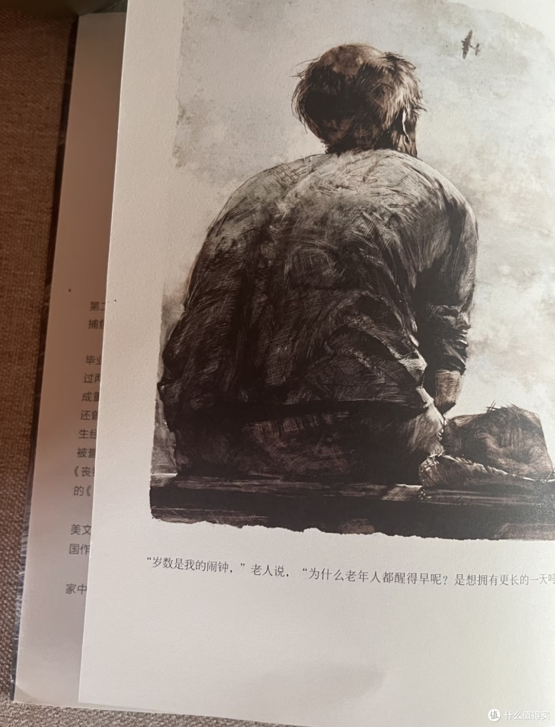 生命的坚韧与尊严