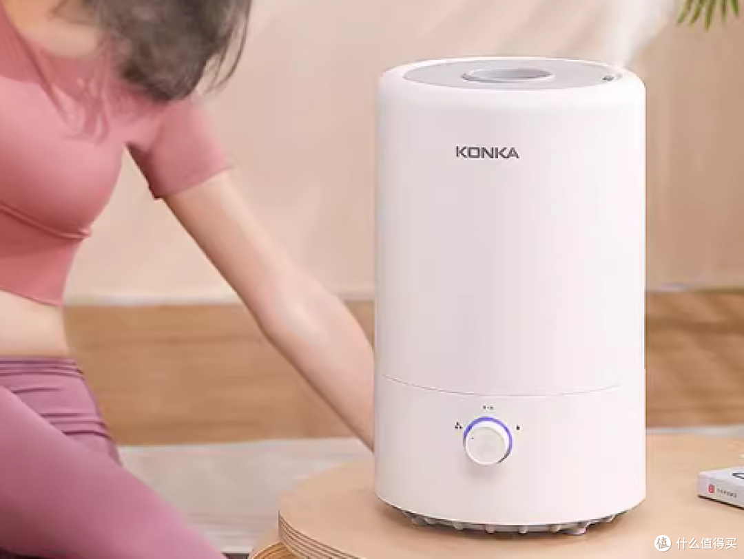 2026年哪个品牌的加湿器好？十大高口碑机型实测推荐