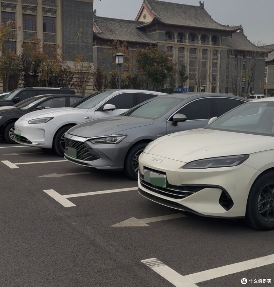 比亚迪圈粉大学老师成购车首选