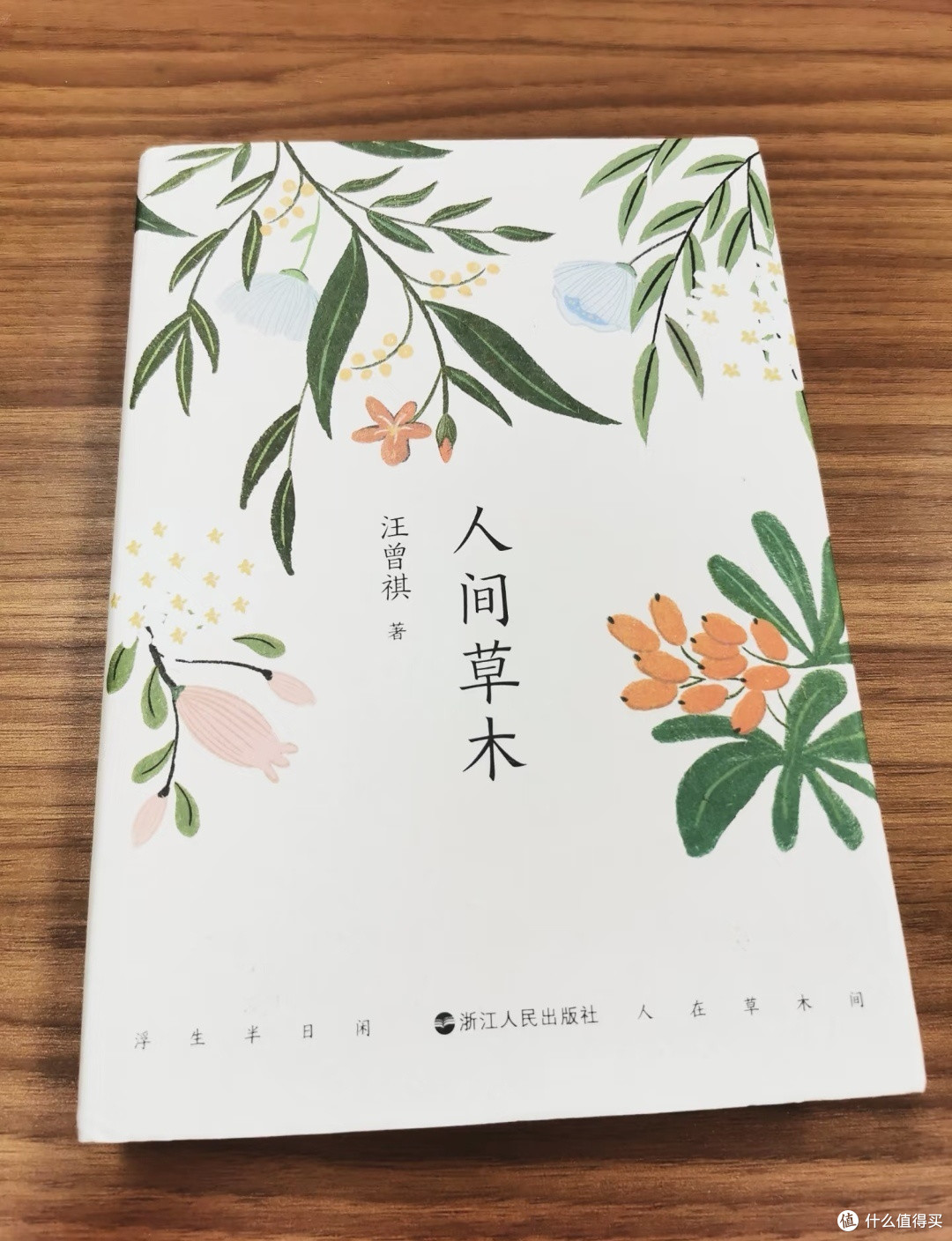 读《人间草木》:于烟火草木间,寻得生活温柔本心