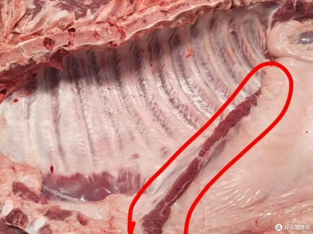 春日踏青食单:寻味山野间,三款宝藏烤肉全攻略